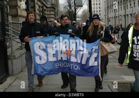 Aktivisten tragen Meer Leben Brighton Banner. Chef Hugh Fearnley-Whittingstall in Verbindung mit der Marine Conservation Society, Sealife und die British Sub Aqua Club, führt einen Marsch aus dem London Aquarium zu den Houses of Parliament, der Regierung zu zeigen, wie viel Unterstützung gibt es für mehr Schutz der Meere und der 127 MCZs (Marine Conservation Zonen). London, UK, 25. Februar 2013. Stockfoto