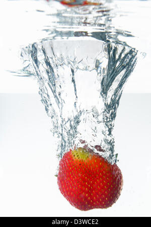 Eine Erdbeere Frucht plätschernden Unterwasser, weißer Hintergrund, studio Stockfoto