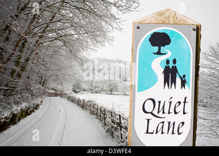 Spuren auf der Straße unter Loughrigg in der Nähe von Ambleside, Lake District, Großbritannien. Stockfoto