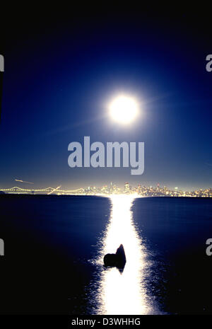 Vollmond leuchtet Skyline von San Francisco Bay und Statue von Seelöwen in Sausalito, Kalifornien Stockfoto