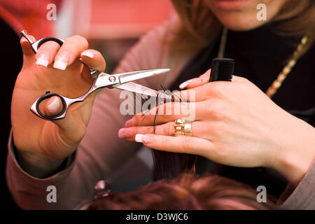 Haare schneiden: Haar-Stylist bei der Arbeit mit der Schere Stockfoto