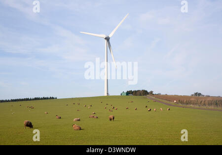 Große einzelne Windkraftanlage im Besitz von Ecotricity unten tireur, Chewton Mendip, Somerset, England Stockfoto