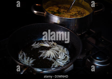 Braten Zwiebel Pakora Curry, Tarka Stockfoto