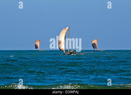 DREI KATAMARANE IN MORGENFISCHEN FÜR GARNELEN INDISCHEN OZEAN SRI LANKA Stockfoto