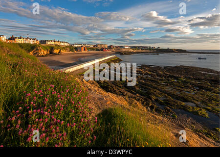 Cullercoats Bay und Village, North Tyneside, Tyne and Wear Stockfoto