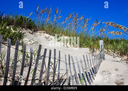 Grass bedeckt Strand Dünen mit einem Zaun Stockfoto