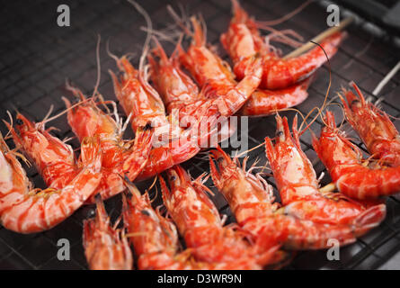 Frische rote grill gebratene Garnelen am Spieß auf schwarzem Gitter Stockfoto
