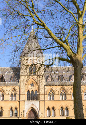 Fassade der Naturgeschichte und Pitt Rivers Museum Universität Oxford England UK Stockfoto
