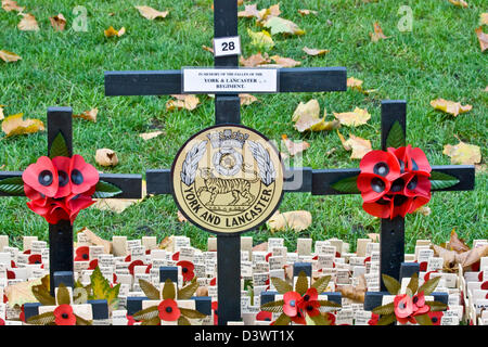 York und Lancaster Regiment Bereich Gedenktag Kreuze und Mohn am Westminster Abbey London England Europa Stockfoto