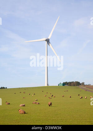 Große einzelne Windkraftanlage im Besitz von Ecotricity unten tireur, Chewton Mendip, Somerset, England Stockfoto