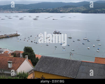 Zucht der Fische im Meer, Raxo, Ria de Pontevedra, Provinz Pontevedra, Galizien, Spanien, Europa Stockfoto