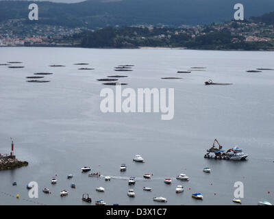 Zucht der Fische im Meer, Raxo, Ria de Pontevedra, Provinz Pontevedra, Galizien, Spanien, Europa Stockfoto