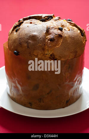 Nahaufnahme der Panettone, traditionelle italienische Weihnachtskuchen aus Mailand Stockfoto