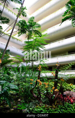 Shangri-La Hotel-Lobby, Garden Wing, 5-Sterne-Hotel, schöne Orchideen, Bäume, Blume zeigt, Blüte hängende Pflanzen Singapur Stockfoto