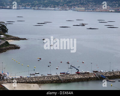 Zucht der Fische im Meer, Raxo, Ria de Pontevedra, Provinz Pontevedra, Galizien, Spanien, Europa Stockfoto