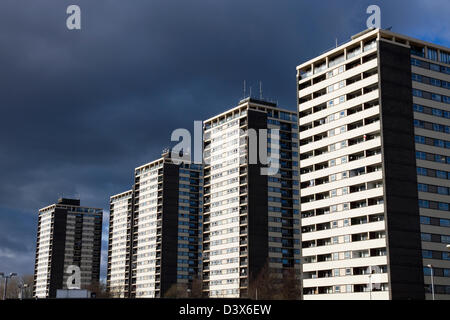 Gehäuse Tower Blocks (insgesamt sieben Schwestern genannt), College Bank Estate, Rochdale, Greater Manchester, England, UK Stockfoto