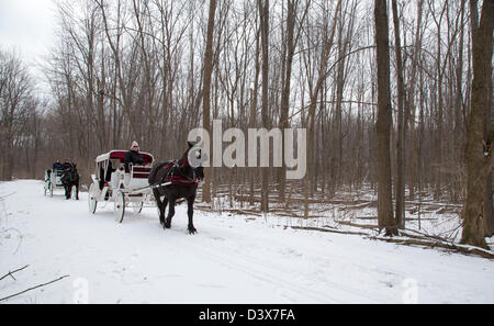 Detroit, Michigan - Pferde-Kutschen-Fahrten wurden im Winter Fest, ein Winterfestival in Detroit Palmer Park angeboten. Stockfoto