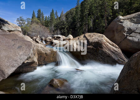 Landschaftlich schöne seidig Aktion stoppen Wasser durch Felsbrocken Merced River Rapids Yosemite National Park, Green Tree Forest, blauer Himmel fließt Stockfoto