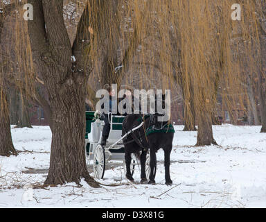 Detroit, Michigan - Pferde-Kutschen-Fahrten wurden im Winter Fest, ein Winterfestival in Detroit Palmer Park angeboten. Stockfoto