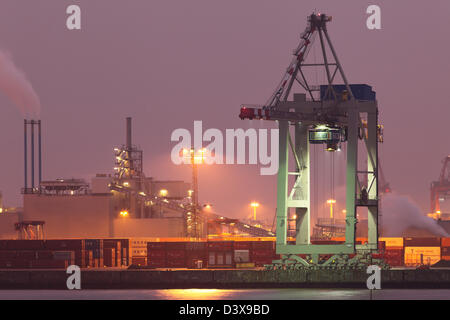 Hamburg, Deutschland, Tollerort Container-terminal im Hamburger Hafen Stockfoto