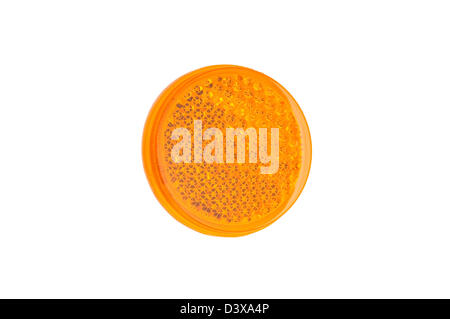 Gelbe Runde Reflektoren isoliert auf weißem Hintergrund. Stockfoto