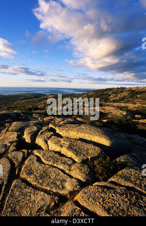 Elk282-2350v Maine, Acadia National Park, Cadillac Mt Gipfel im frühen Morgen Stockfoto