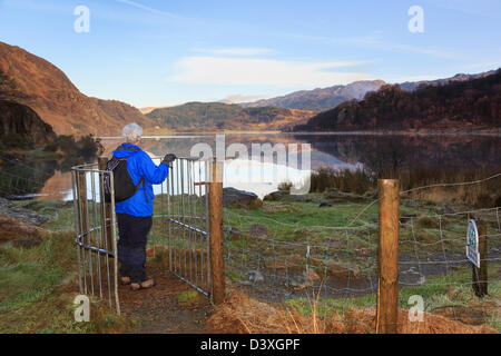 Senior Walker trägt eine wasserdichte Jacke zu Fuß durch küssende Tor Auf einem Weg am Llyn Dinas See in Snowdonia Wales Großbritannien Stockfoto