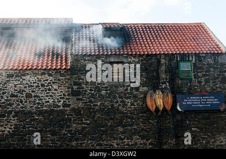 Fisch-Raucher. Craster. Northumberland Stockfoto