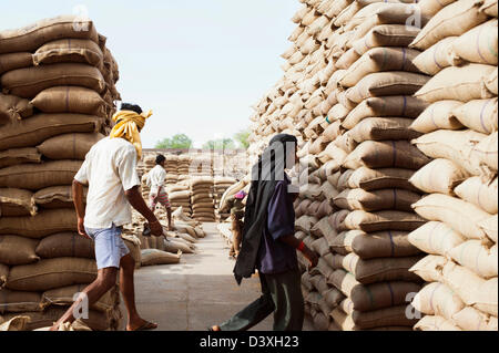 Arbeiter in der Nähe von Stapel Säcke Weizen in einem Lagerhaus Anaj Mandi, Kapur, Gurgaon, Haryana, Indien Stockfoto