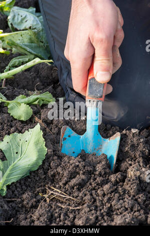 Nahaufnahme der Hand und kleine Schaufel einen Garten pflegen Stockfoto