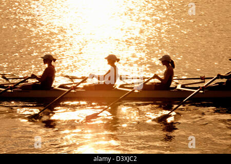 Kanada, Ontario, St. Catharines, der Henley Royal Regatta, Ruderer Stockfoto