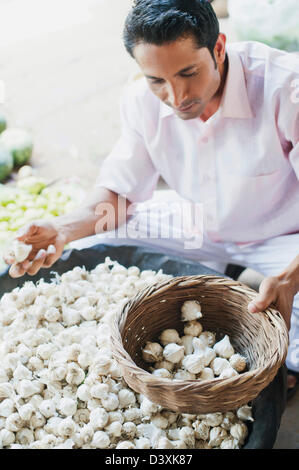 Mann Kommissionierung Knoblauch Zwiebeln aus einem Markt Abwürgen, Kapur, Gurgaon, Haryana, Indien Stockfoto