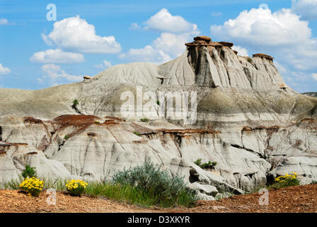 Die malerischen Badlands des „Dinosaur Provincial Park“, UNESCO-Weltkulturerbe und weltberühmte Ausgrabungsstätte von Dinosaurierfossilien, Alberta, Kanada Stockfoto