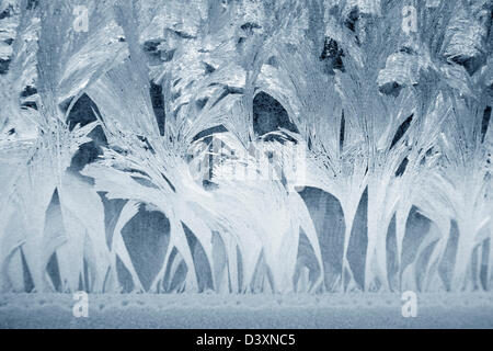 Frostigen natürliche Muster auf Winter-Fenster Stockfoto