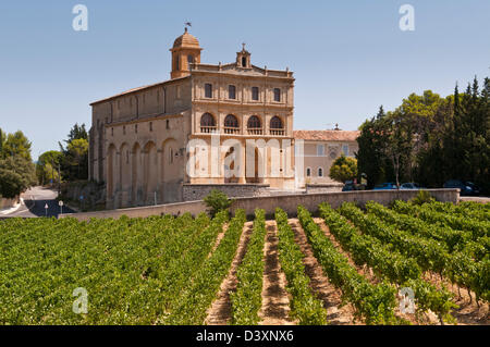 Notre Dame de Grace und Weinberg, Gignac, Hérault, Languedoc Roussillon, Frankreich Stockfoto