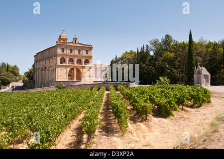 Notre Dame de Grace und Weinberg, Gignac, Hérault, Languedoc Roussillon, Frankreich Stockfoto