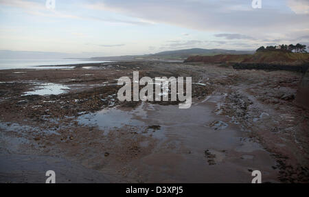 Felsigen Welle schneiden Plattform ausgesetzt bei Ebbe, Watchet, Somerset, England Stockfoto