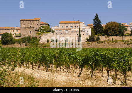 Blick über Weinberge in das Dorf Tressan, Hérault, Languedoc Roussillon, Frankreich Stockfoto