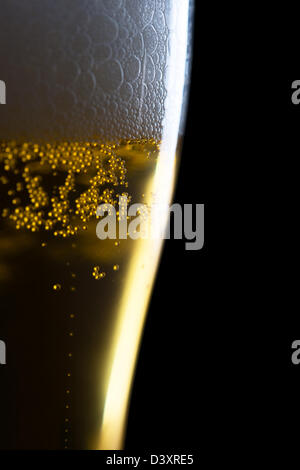 Frisches Bier mit Schaum und Kondenswasser Perlen auf weißem Hintergrund Stockfoto