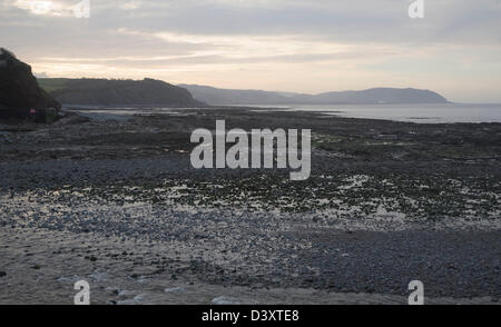 Felsigen Welle schneiden Plattform ausgesetzt bei Ebbe, Watchet, Somerset, England Stockfoto