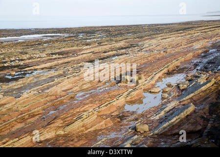 Felsigen Welle schneiden Plattform ausgesetzt bei Ebbe, Watchet, Somerset, England Stockfoto
