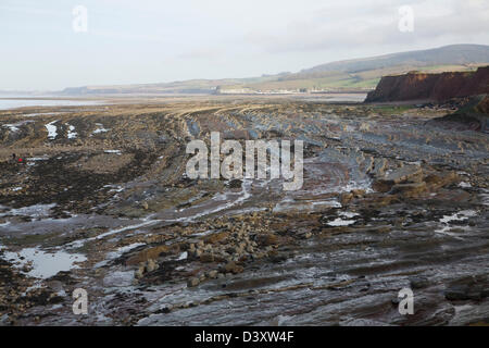 Felsigen Welle schneiden Plattform ausgesetzt bei Ebbe, Watchet, Somerset, England Stockfoto