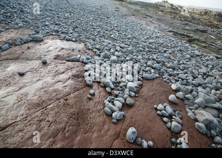 Reibung und Abrieb auf der Welle schneiden Plattform wie Kieselsteine sind gerundet und transportiert, Watchet, Somerset, England Stockfoto