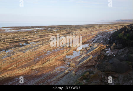 Felsigen Welle schneiden Plattform ausgesetzt bei Ebbe, Watchet, Somerset, England Stockfoto