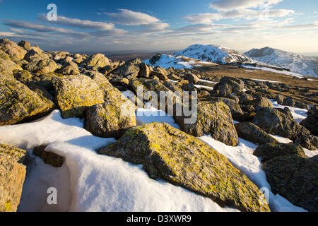 Flechten Sie bedeckte Felsen am wirbeln Howe über Wrynose im Lake District, Cumbria, UK, Stockfoto