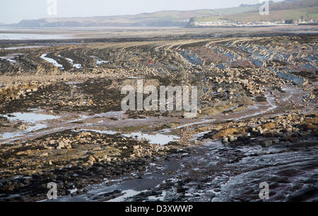Felsigen Welle schneiden Plattform ausgesetzt bei Ebbe, Watchet, Somerset, England Stockfoto