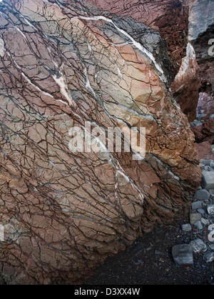 Adern von Gips im unteren Lias Felsen Watchet, Somerset, England Stockfoto