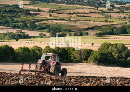 Bauer, der pflügt seines Fachs, der Ebene von Lembronnais, Puy de Dôme, Auvergne, Frankreich Stockfoto