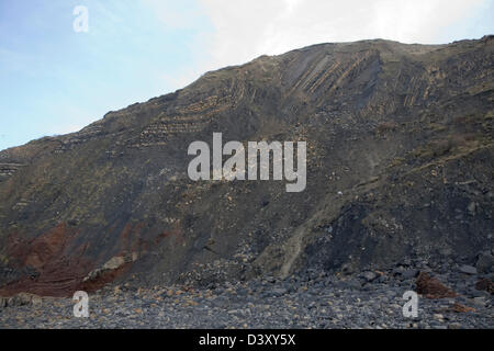 Unteren Lias Felsen in einer Struktur Antiklinale gefaltet Watchet, Somerset, England Stockfoto