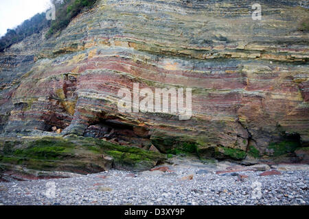 Unteren Lias Sedimentgesteine in Klippe Gesicht, Watchet, Somerset, England Stockfoto